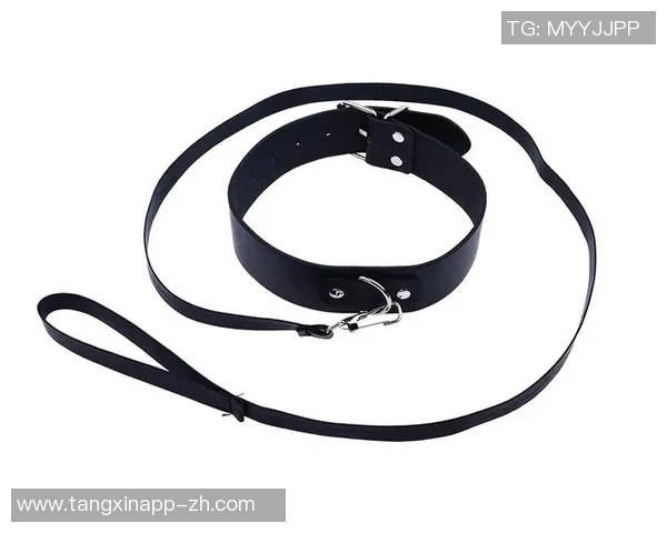 91麻豆免费视频-一、探索免费视频的新天地-女性私密紧致情趣玩具